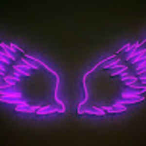 Meet your Posher, King